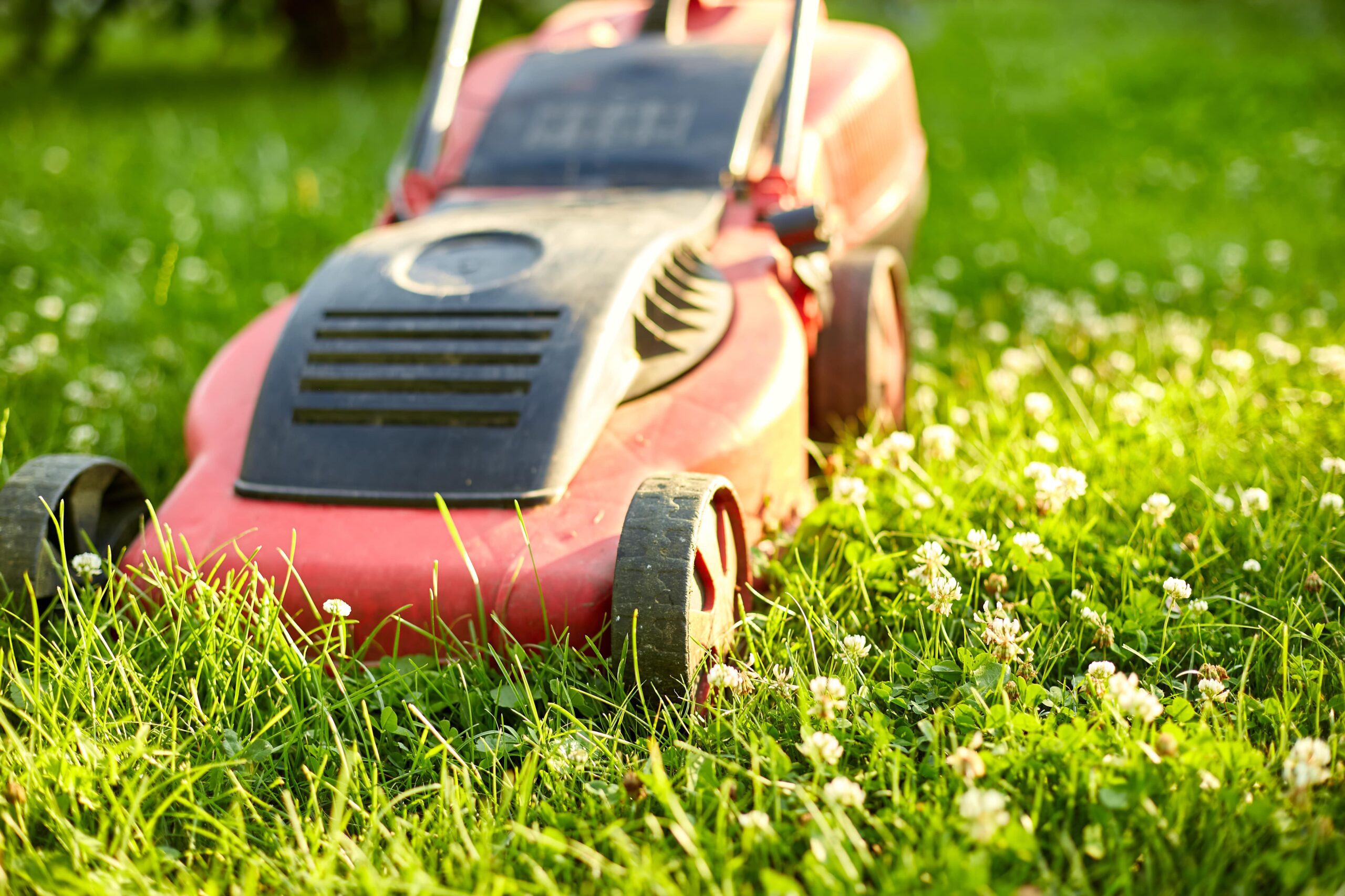 lawnmower-mows-the-lawn-at-home-garden-working-s-2021-09-29-21-46-50-utc-min